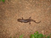 8.10.06 Rock of Ages Ridge 054 